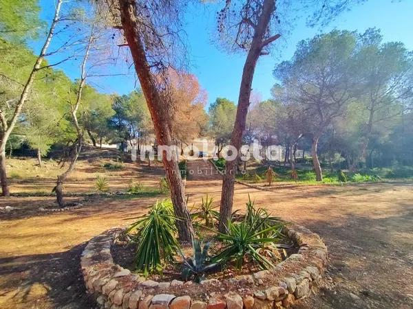 Terreno en Colonia Escandinavia-Cautivador