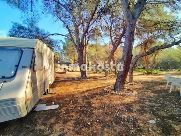 Terreno en Colonia Escandinavia-Cautivador