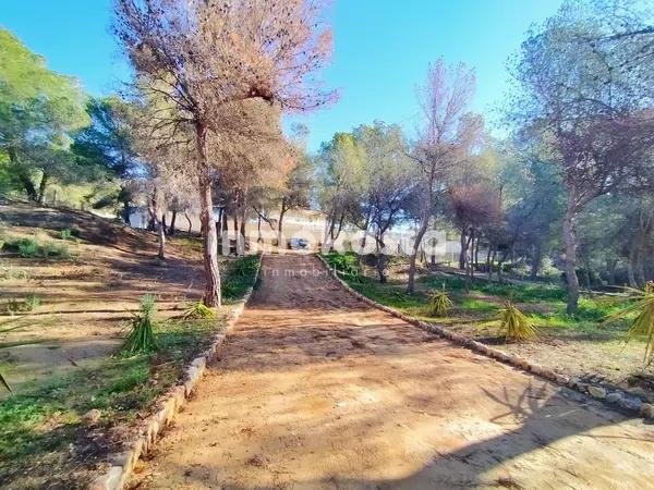 Terreno en Colonia Escandinavia-Cautivador