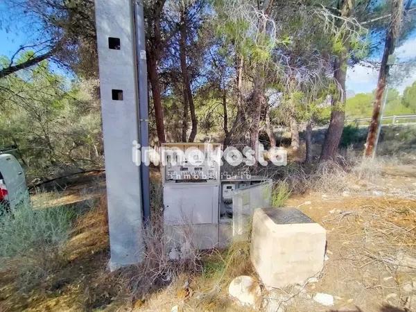 Terreno en Colonia Escandinavia-Cautivador