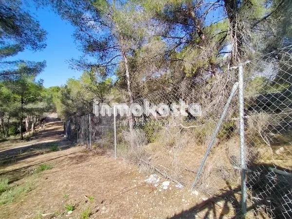 Terreno en Colonia Escandinavia-Cautivador