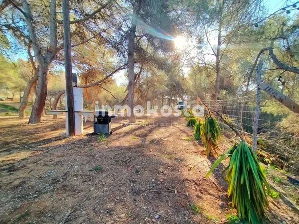 Terreno en Colonia Escandinavia-Cautivador