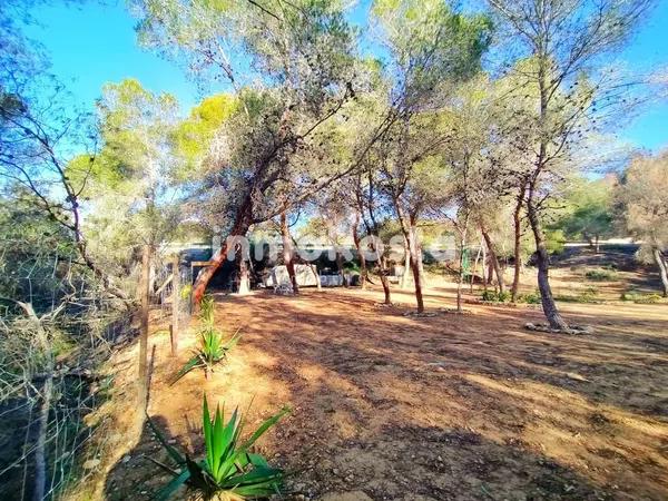 Terreno en Colonia Escandinavia-Cautivador