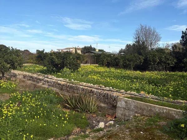 Terreno en La Xara - La Sella - Jesús Pobre