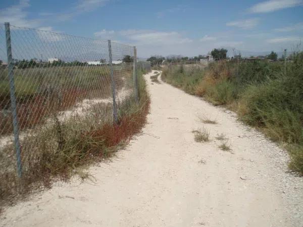 Terreno en Bellavista - Capiscol - Frank Espinós