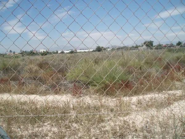 Terreno en Bellavista - Capiscol - Frank Espinós