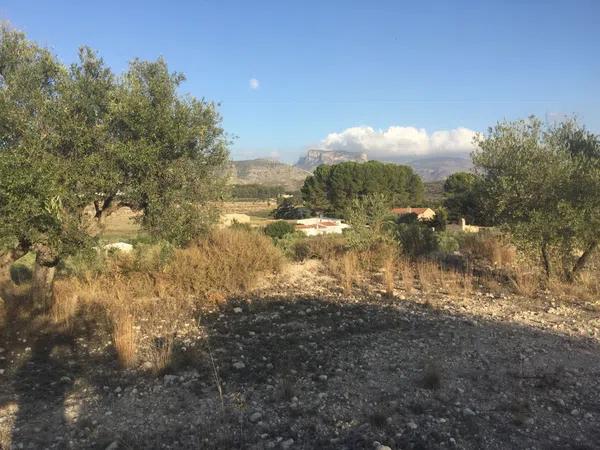 Terreno en calle la Torreta, 3 '9