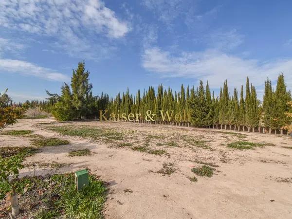 Terreno en Partida Algoros