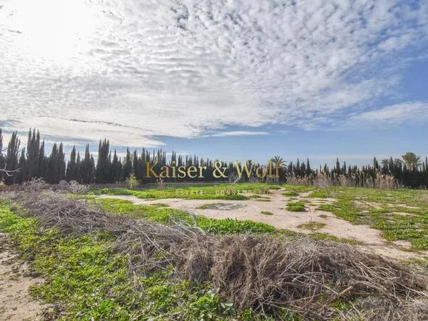 Terreno en Partida Algoros