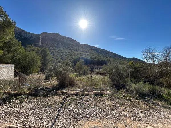 Terreno en Partida la Tapiada-umbria, km 6