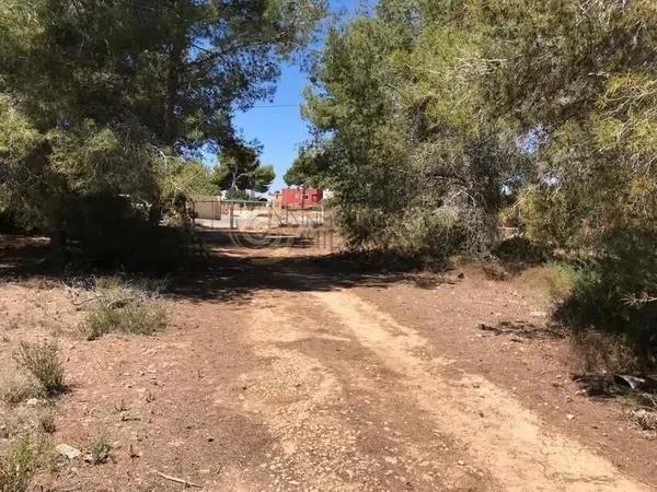 Terreno en Pueblo Levante