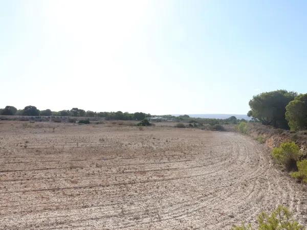 Terreno en alto Partida Valverde Alto