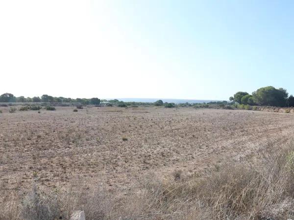 Terreno en alto Partida Valverde Alto