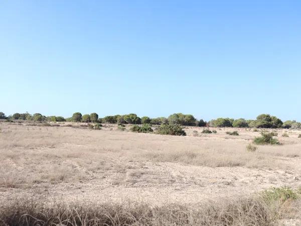 Terreno en alto Partida Valverde Alto