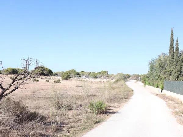 Terreno en alto Partida Valverde Alto