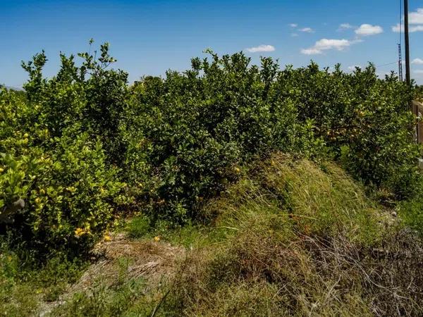 Terreno en Las Bayas-Asprillas