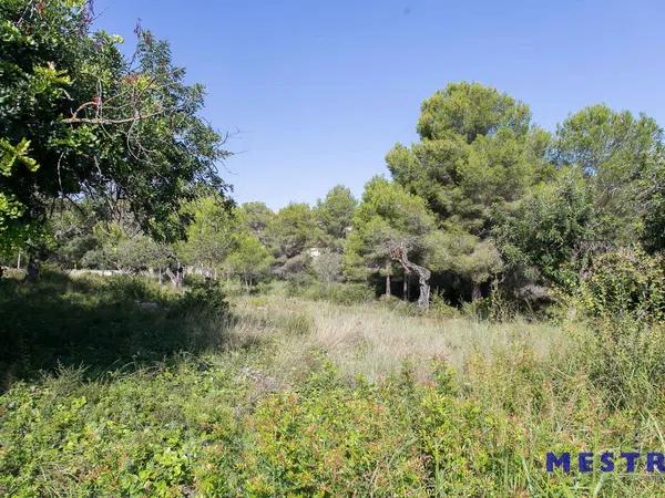 Terreno en Pinar de Advocat-Cometa