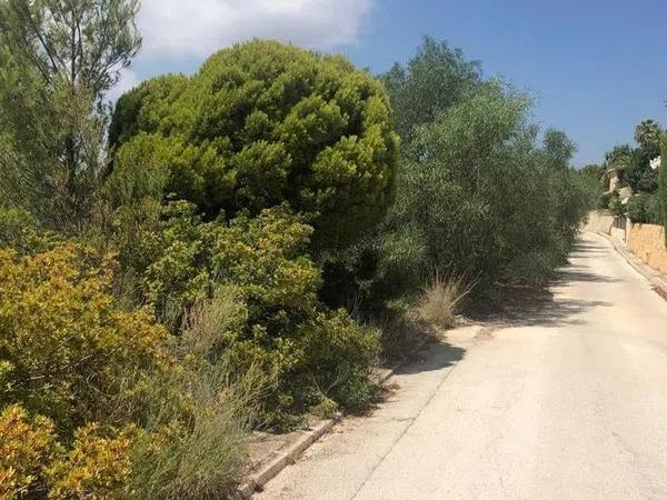 Terreno en calle Centauro, 13