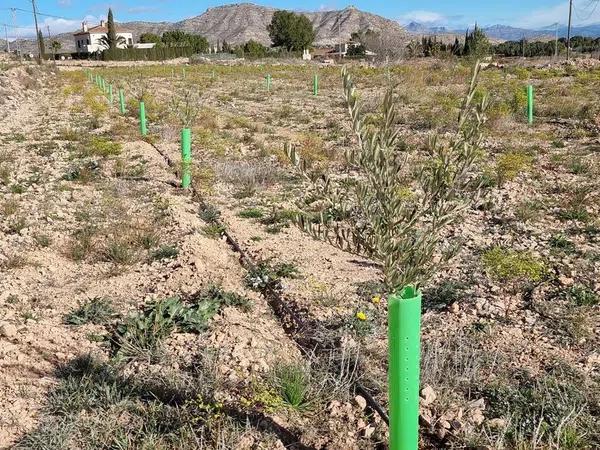 Terreno en plaza Poligono 27, 15