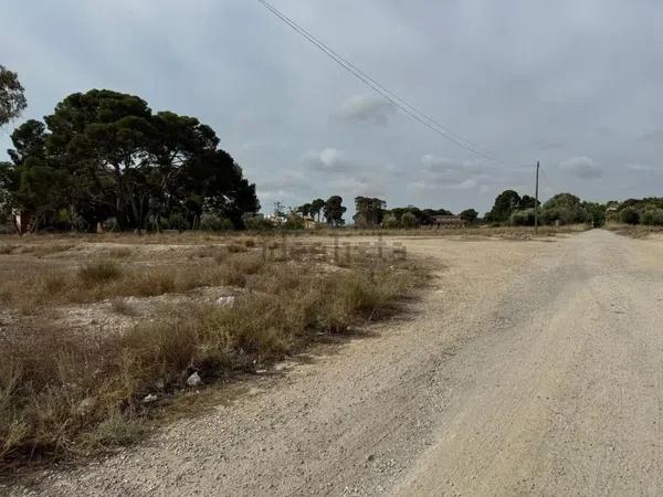 Terreno en La Huerta