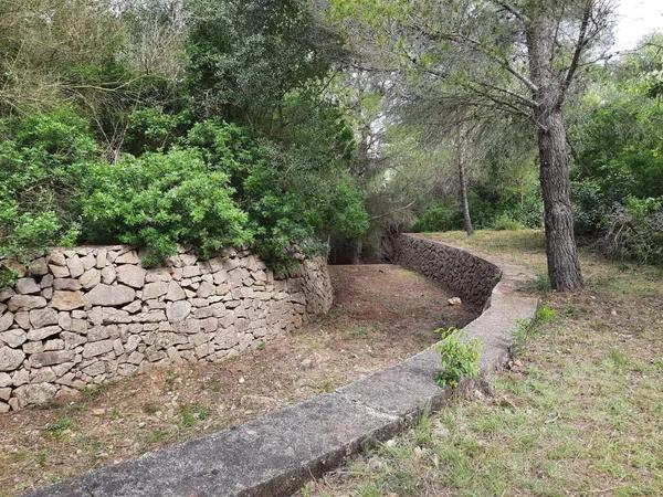 Terreno en El Montgó