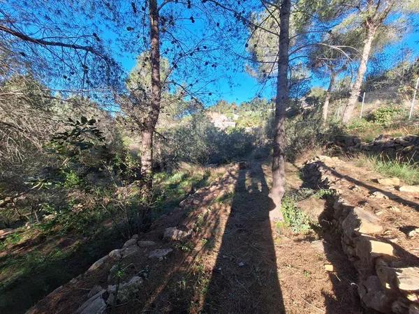 Terreno en El Montgó