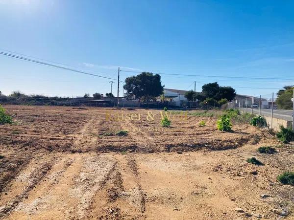 Terreno en carretera Elx - Santa Pola