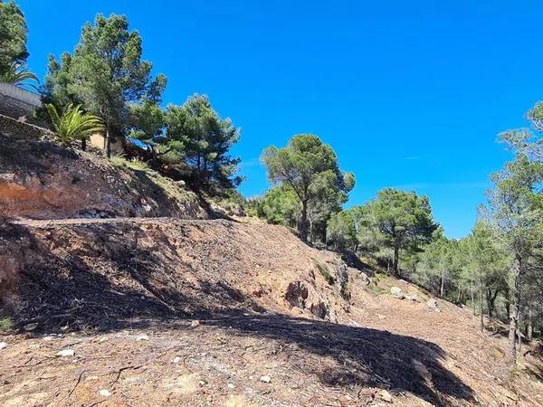 Terreno en Oltamar-Cucarres