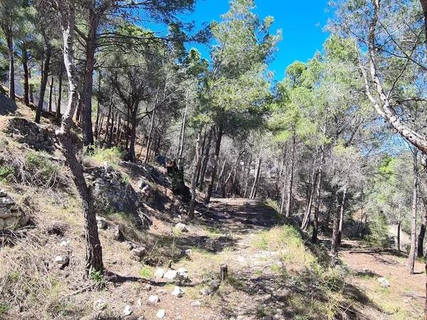 Terreno en Oltamar-Cucarres