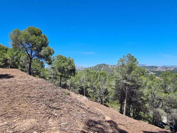 Terreno en Oltamar-Cucarres