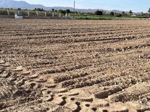 Terreno en Algoda-Matola-Llano de San José