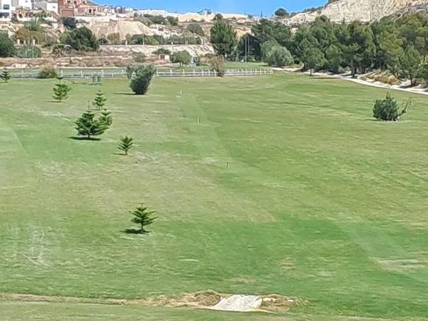 Terreno en avenida Madrid