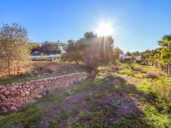 Terreno en Cap Martí - Pinomar