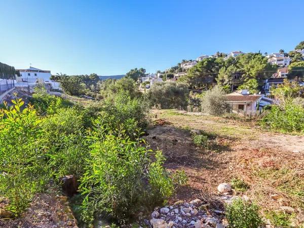 Terreno en Cap Martí - Pinomar