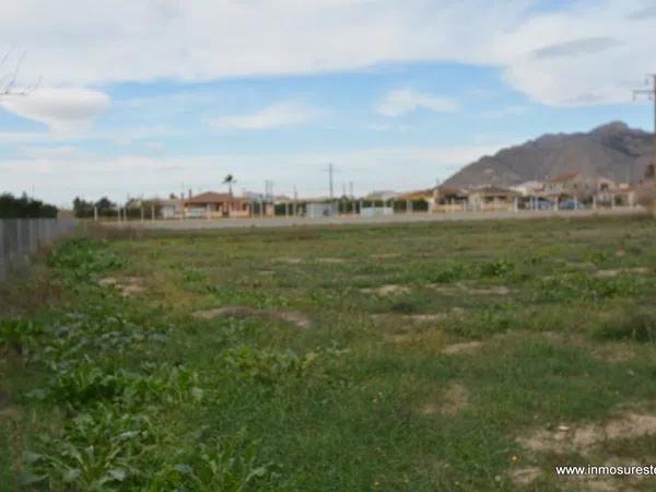 Terreno en Orihuela Ciudad