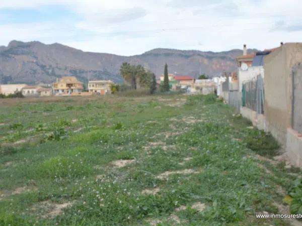 Terreno en Orihuela Ciudad