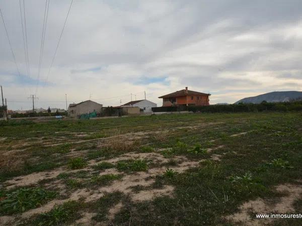 Terreno en Orihuela Ciudad