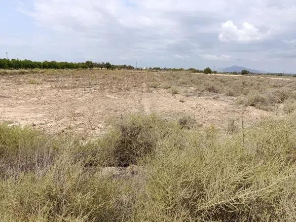 Terreno en La Marina