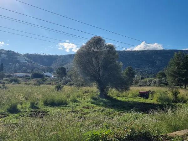 Terreno en calle Lici, 25 -32