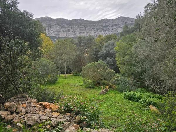 Terreno en calle del Nard, 12