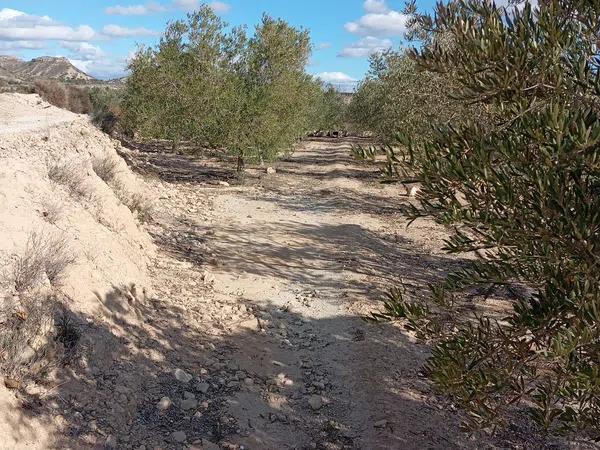 Terreno en La Galia-Bonavista