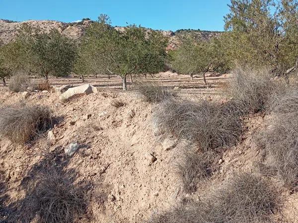 Terreno en La Galia-Bonavista