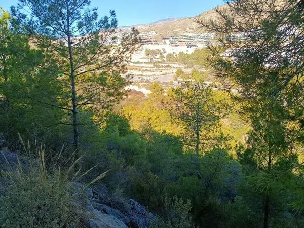 Terreno en Balcón de Finestrat-Terra Marina