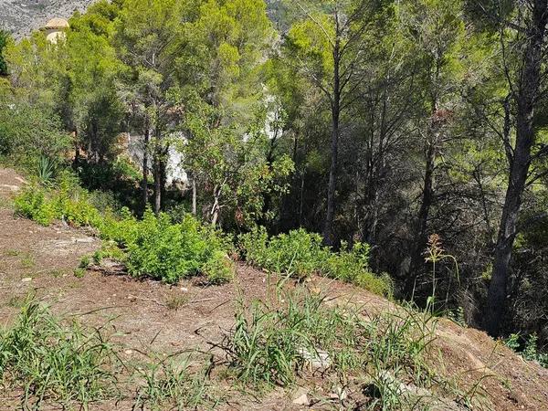 Terreno en calle Serrella s/n