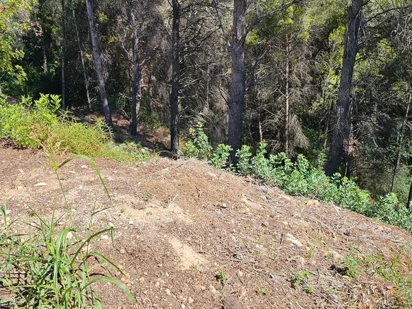 Terreno en calle Serrella s/n