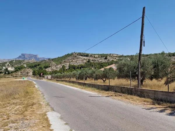 Terreno en carretera Elda-Sax, 1