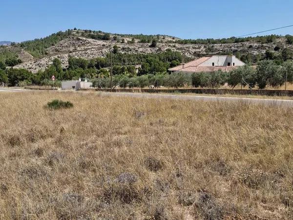 Terreno en carretera Elda-Sax, 1