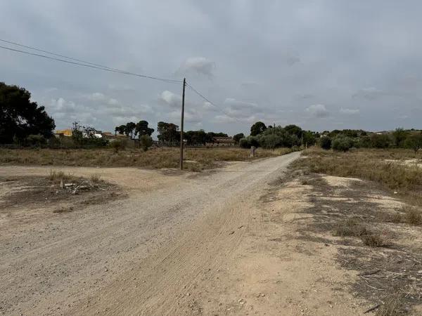 Terreno en calle Ametler, 1