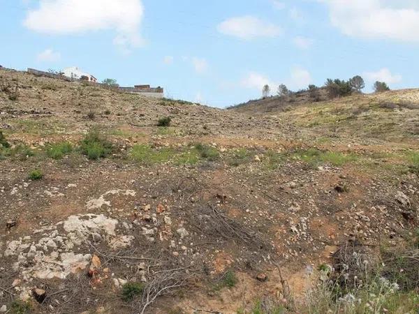 Terreno en Cap Martí - Pinomar