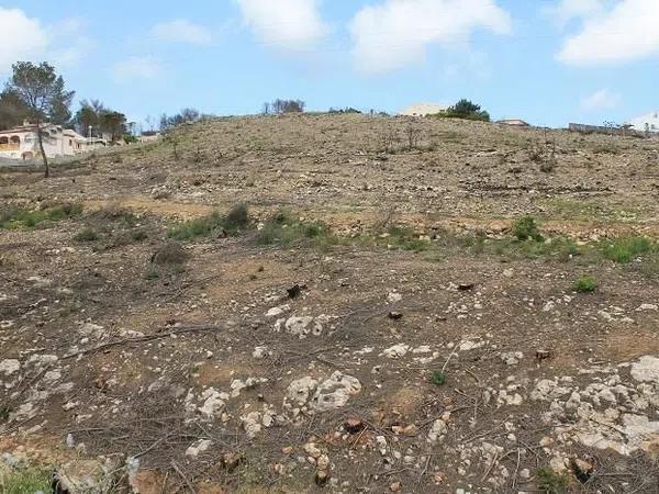 Terreno en Cap Martí - Pinomar